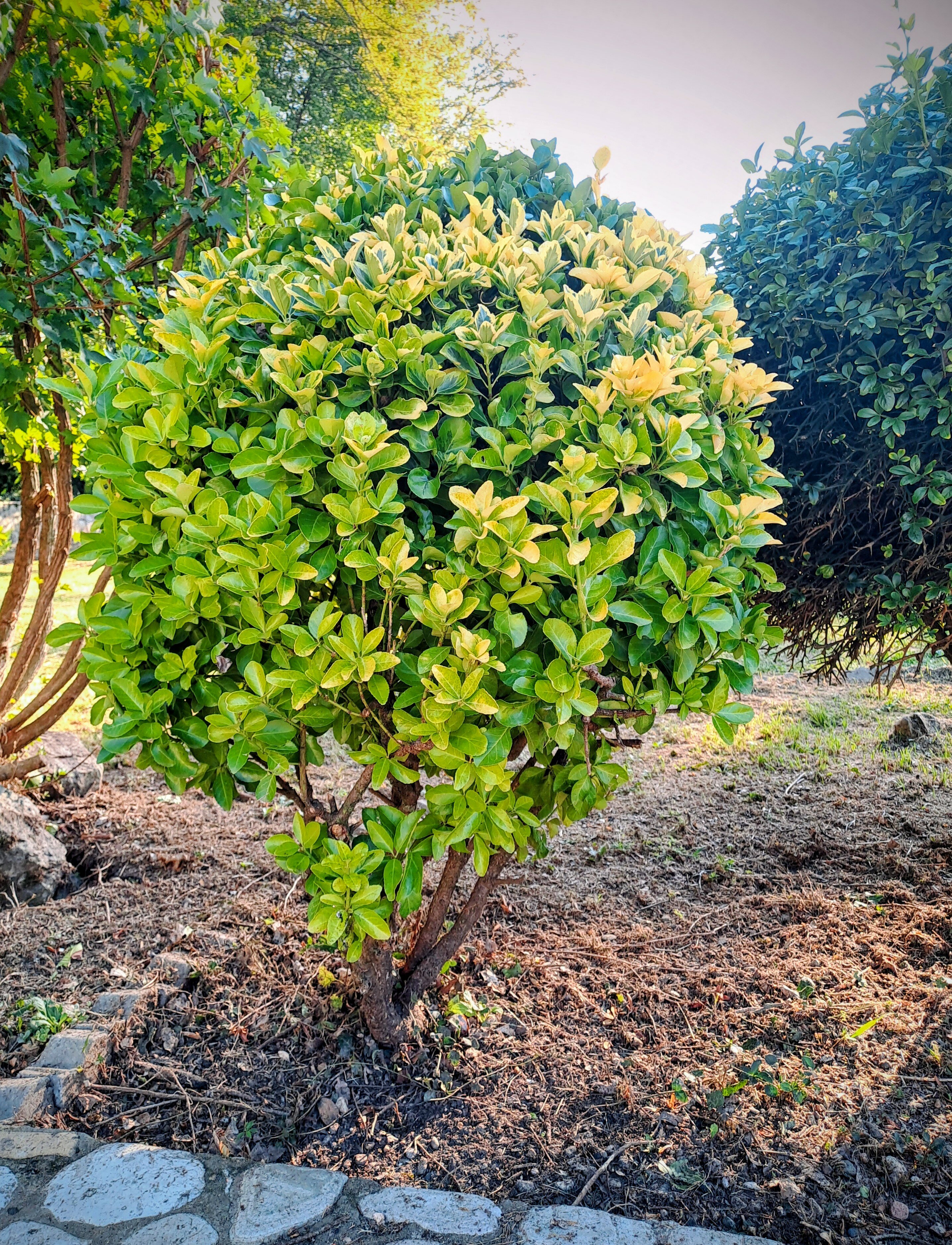 Фото Апартаменты Saltykov Agoy Resort