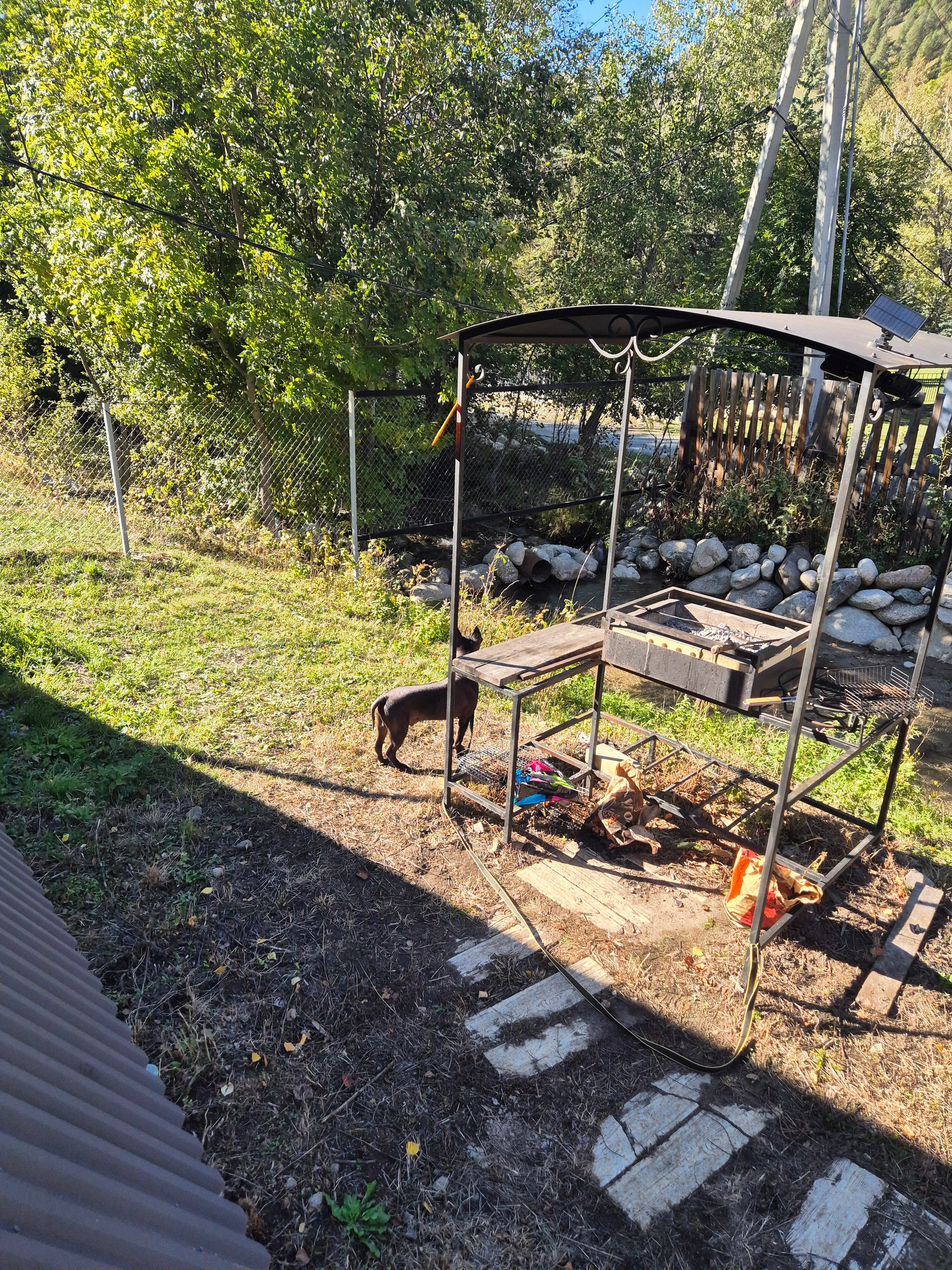 Фото Медвежий угол