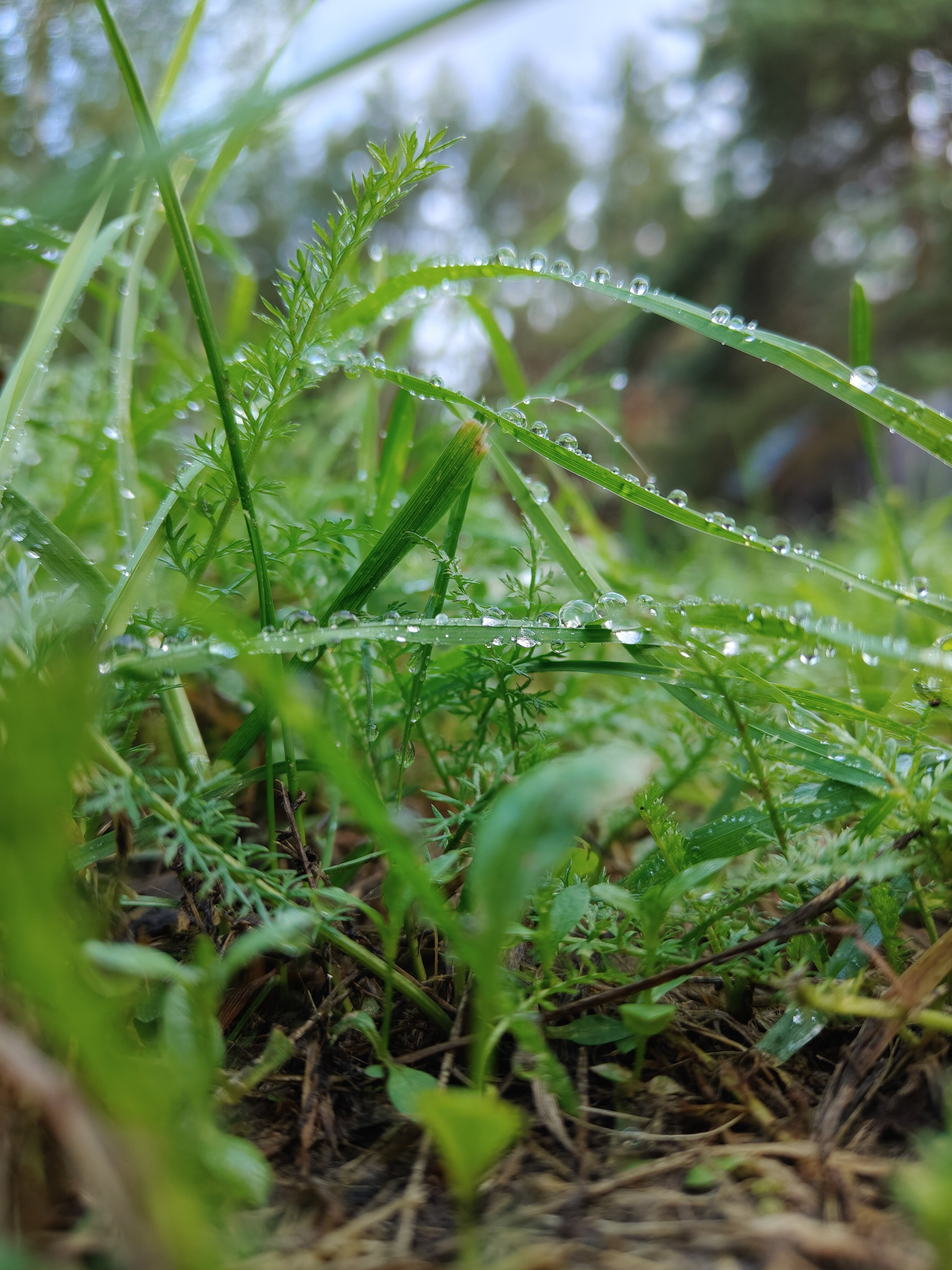 Фото Эковиладж Селигер