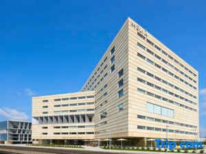 Гостиница Melia Palma Bay