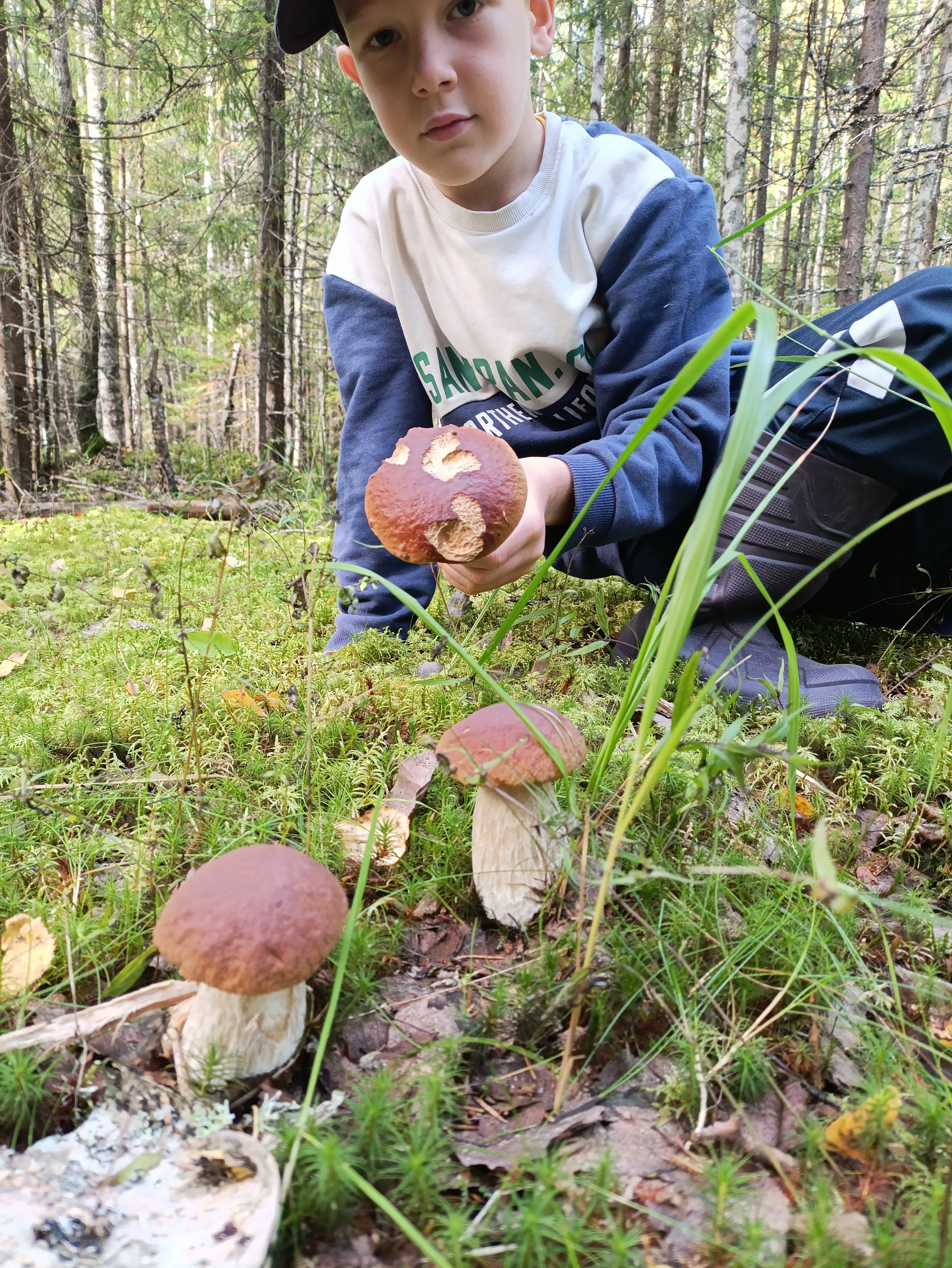 Фото Гостевой дом Ихала