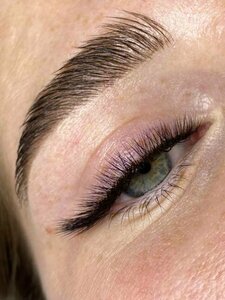 Hooli Lash (Torgovaya Square, 8), eyebrow and eyelash salon