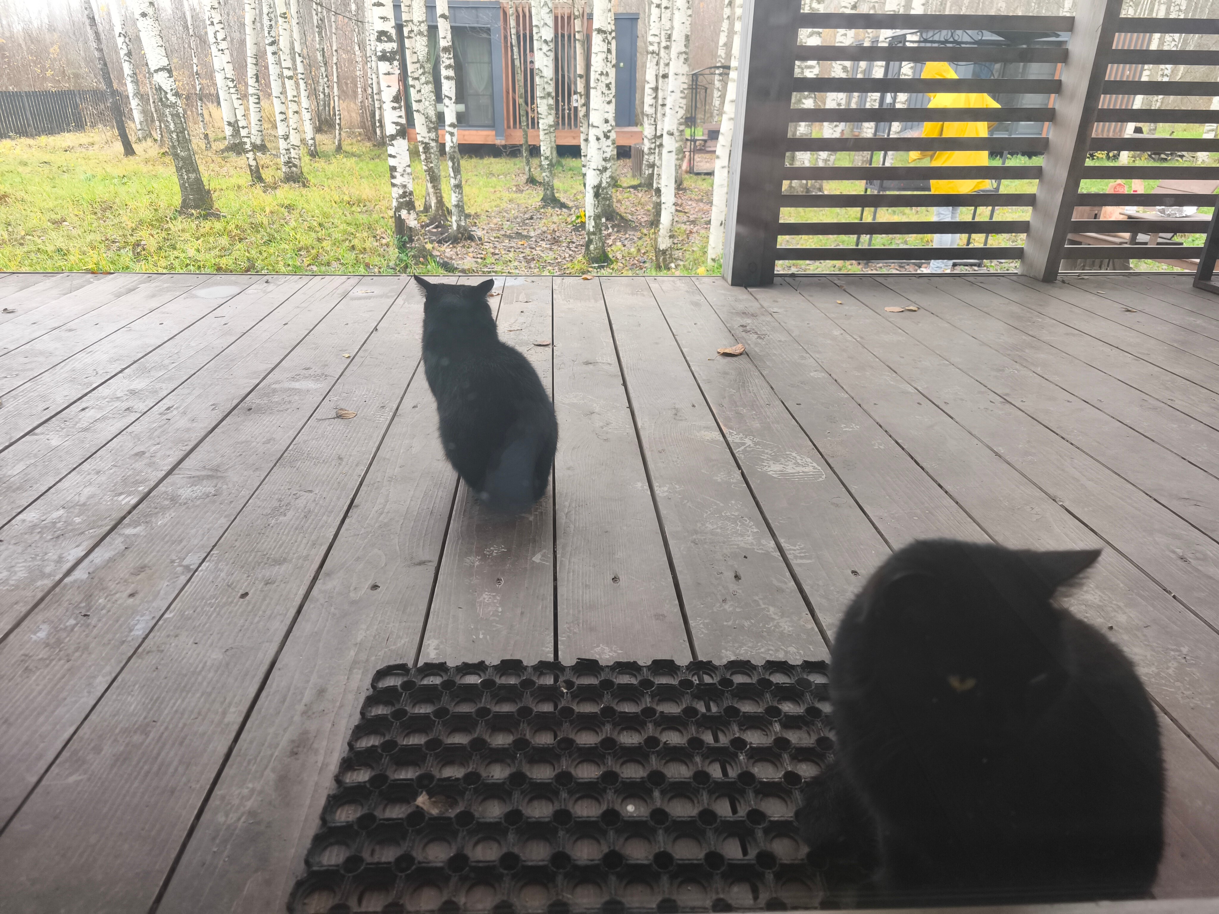 Фото Klever House, Голубое озеро