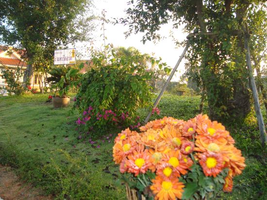 Фото Chiang Rai Khuakrae Resort