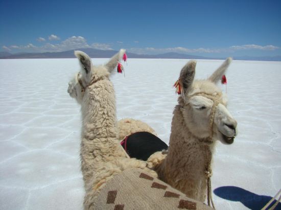 Фото Hotel Huacalera