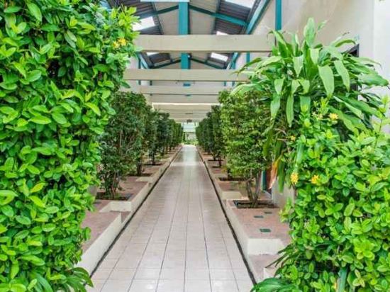 Фото Baantonsai Garden Resort