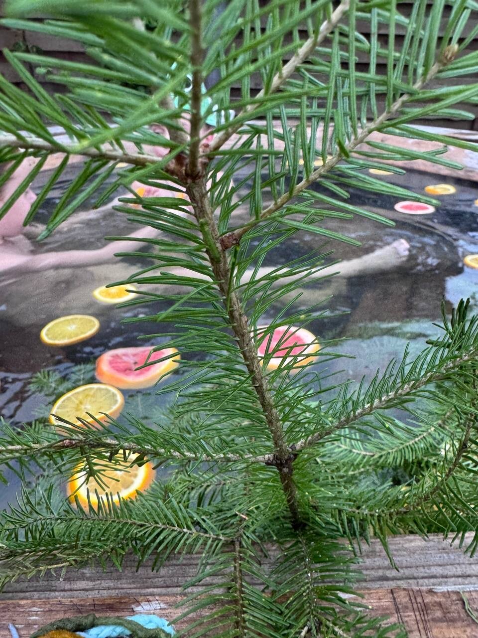 Фото Дом у реки