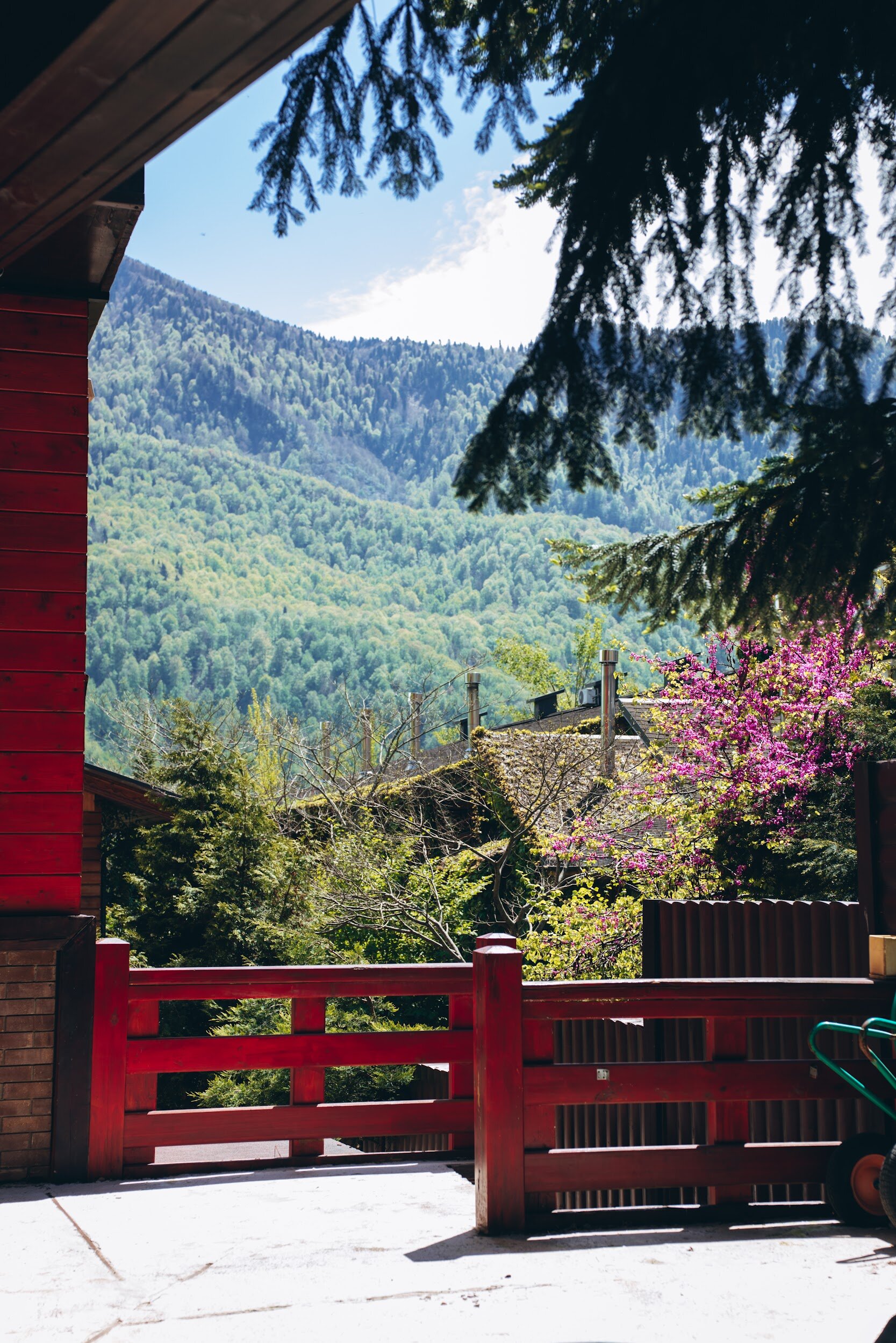 Фото Вилла Лилиан