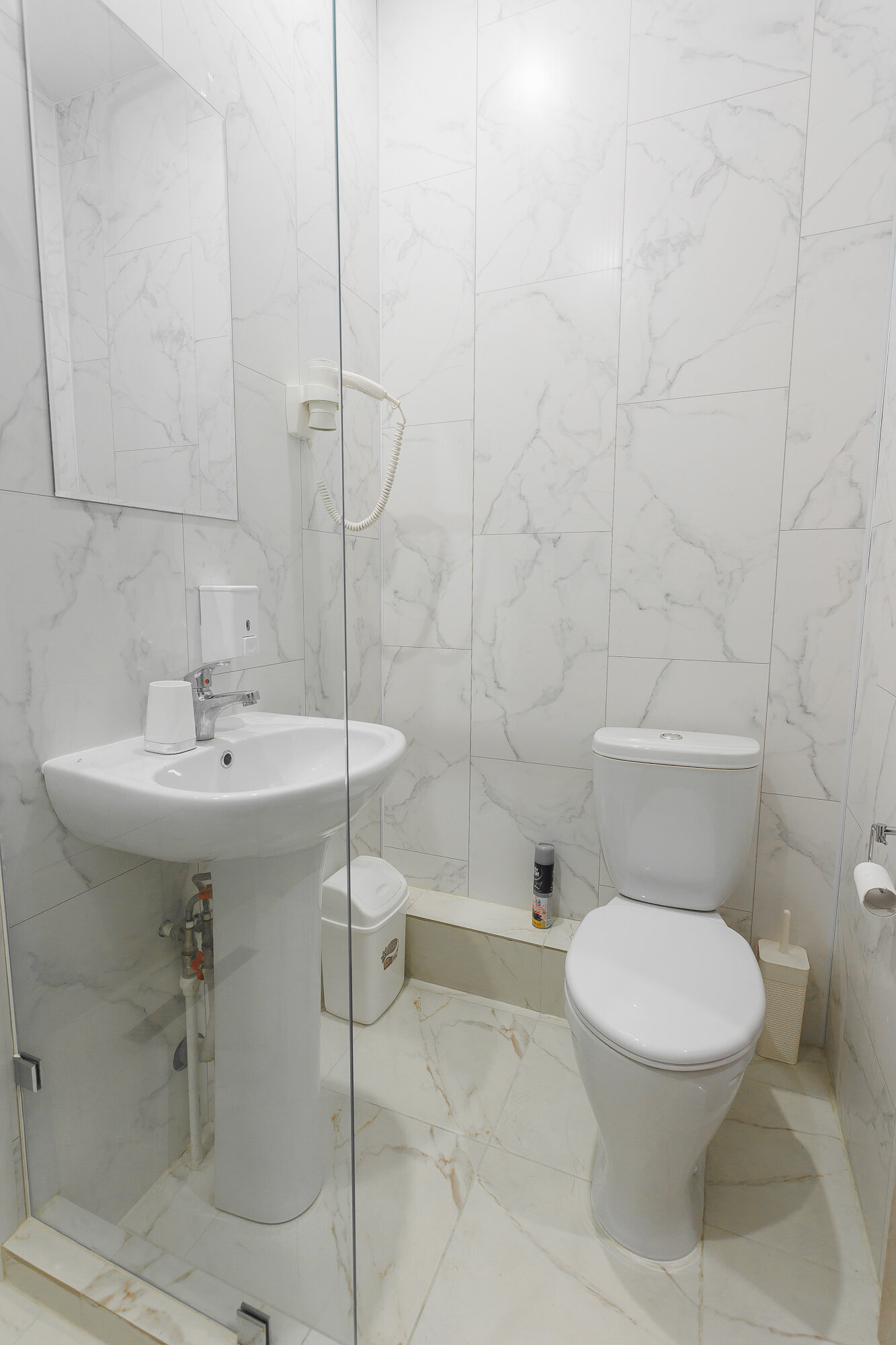 Фото Пушкин