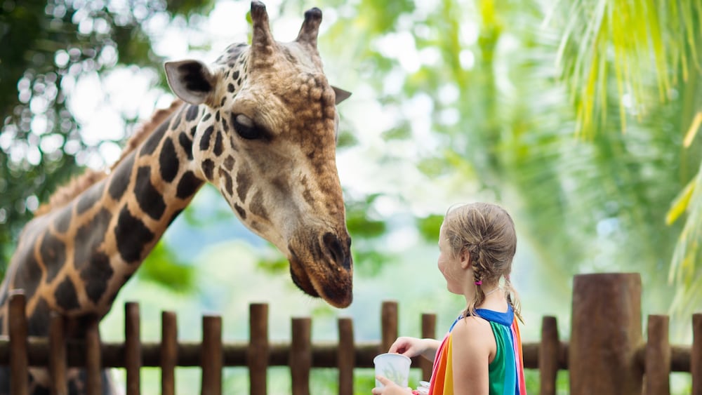 Фото Holiday Inn Denver East, an Ihg Hotel