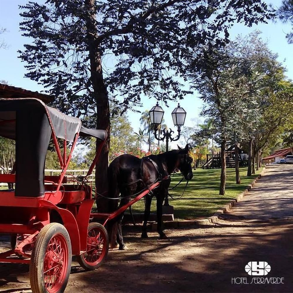 Фото Hotel Serraverde