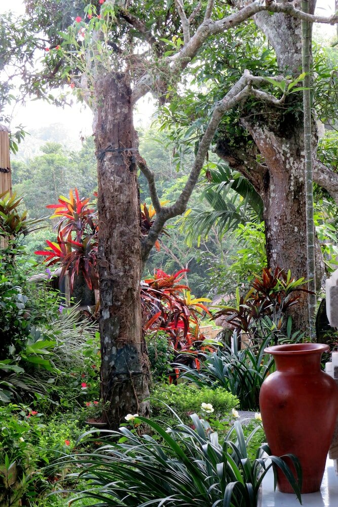 Фото Alam Indah Ubud