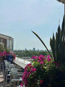 Гостиница Moonrise Hotel