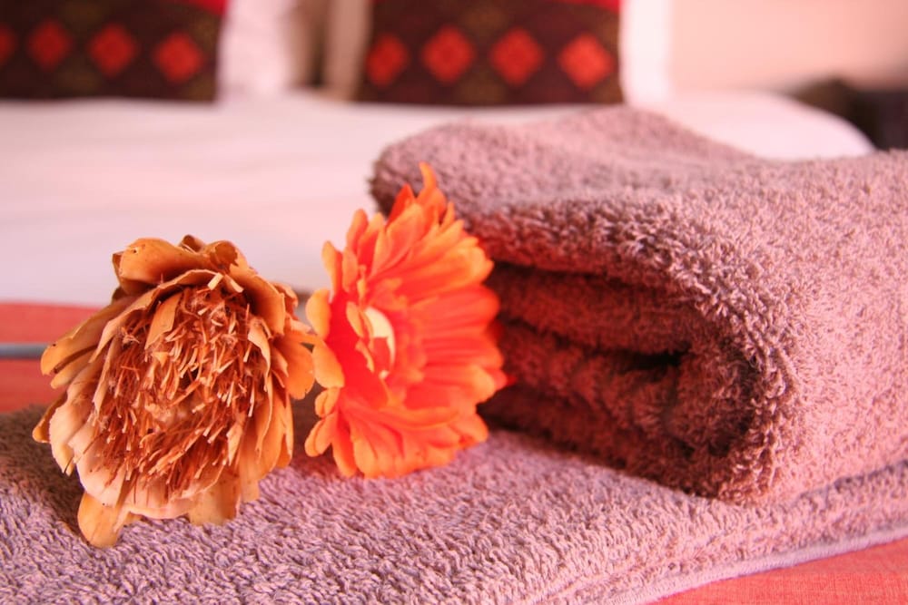 Фото Dunedin Star Guesthouse