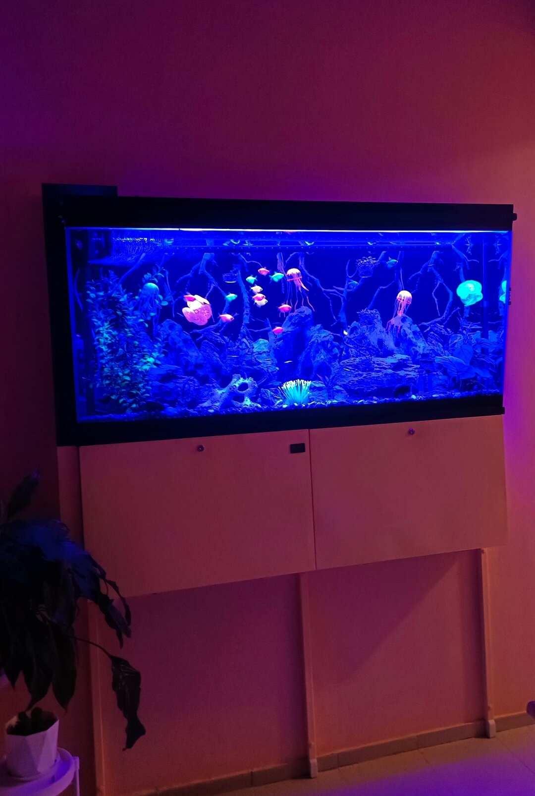 Фото Мишель