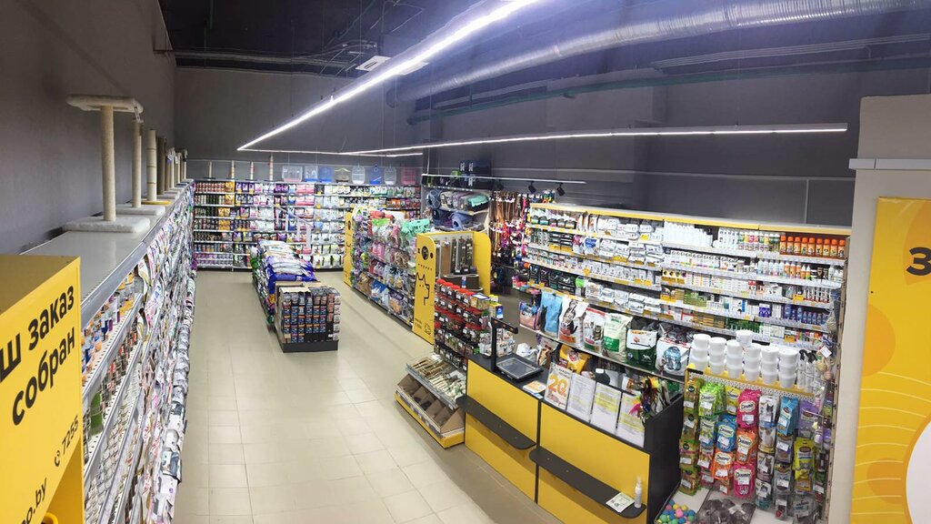 Pet shop Zoomarket, Lida, photo