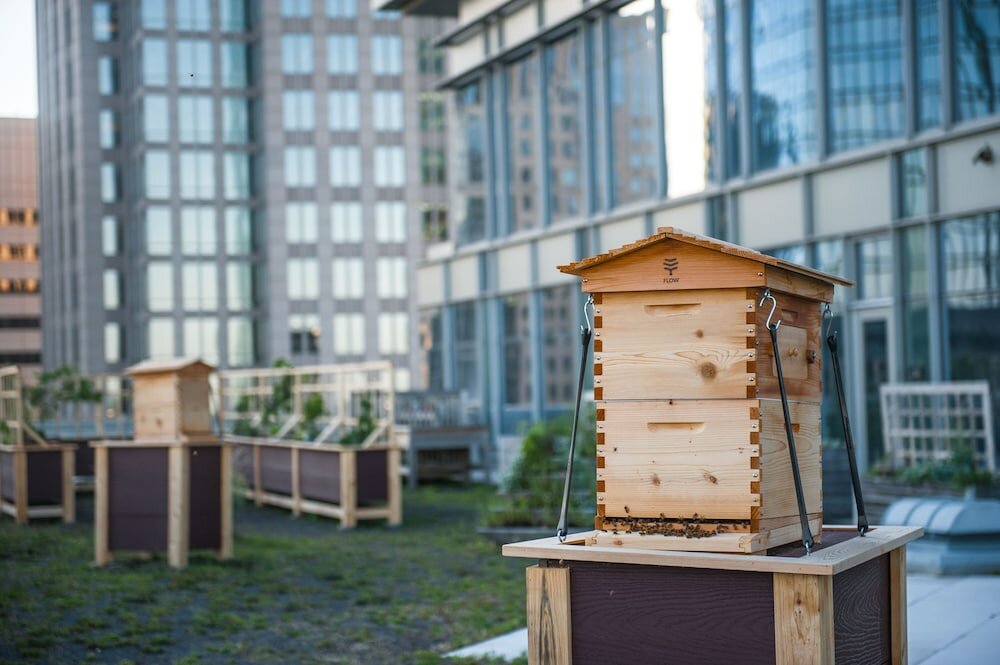 Фото The Ritz-Carlton, Charlotte