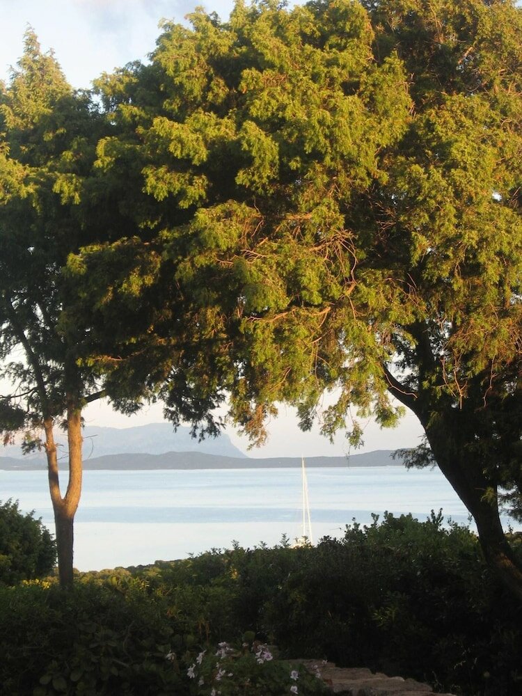 Фото Hotel Valdiola