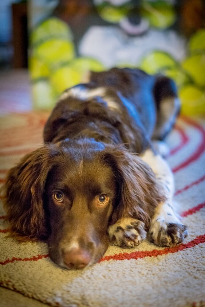 Фото Kingsley Edinburgh