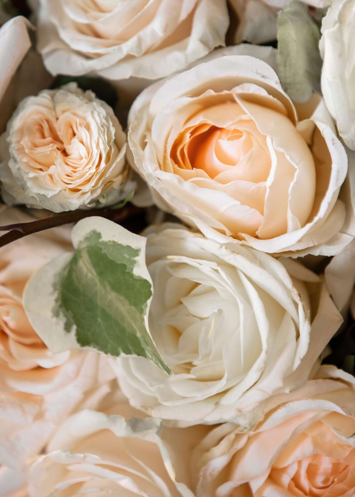 Фото One&Only Portonovi