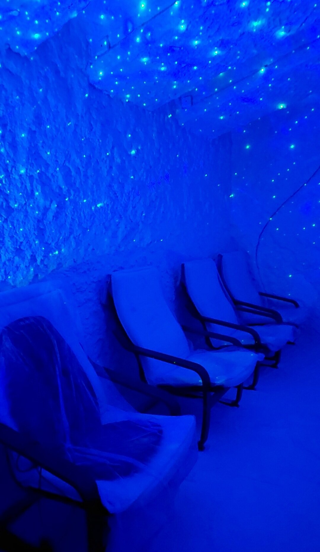 Фото Березки