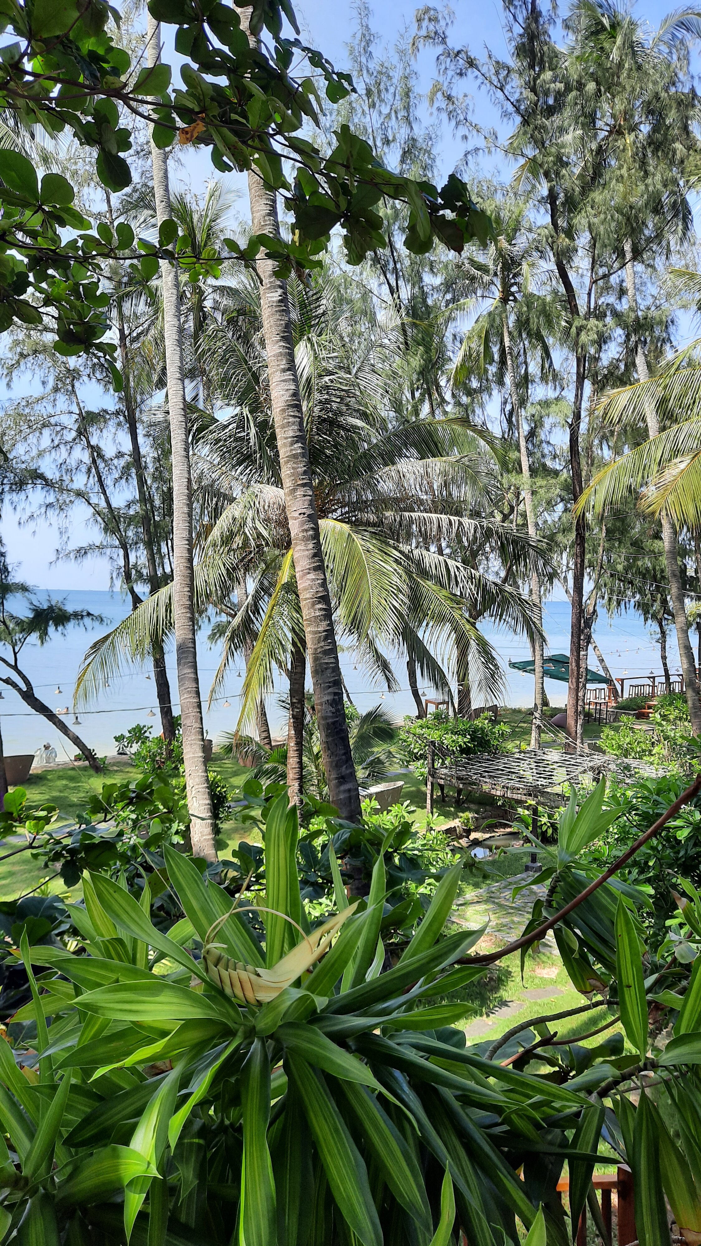 Фото Cassia Cottage