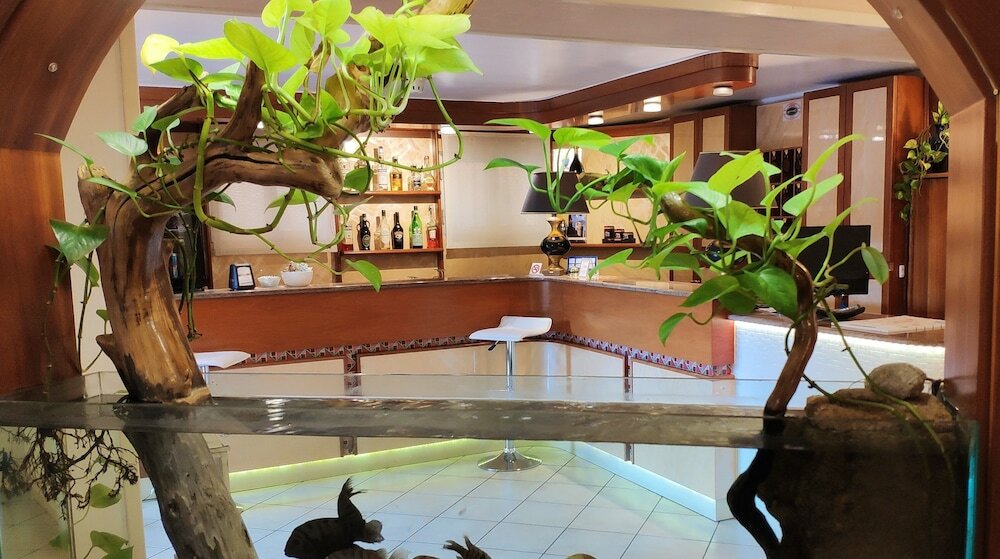 Фото Hotel Minerva