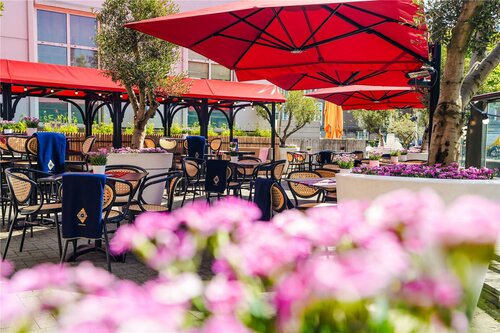 Внешний вид отеля Hilton The Hague в Гааге, фото 5