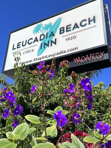 Внешний вид отеля Leucadia Beach Inn в Энсинитасе, фото 2