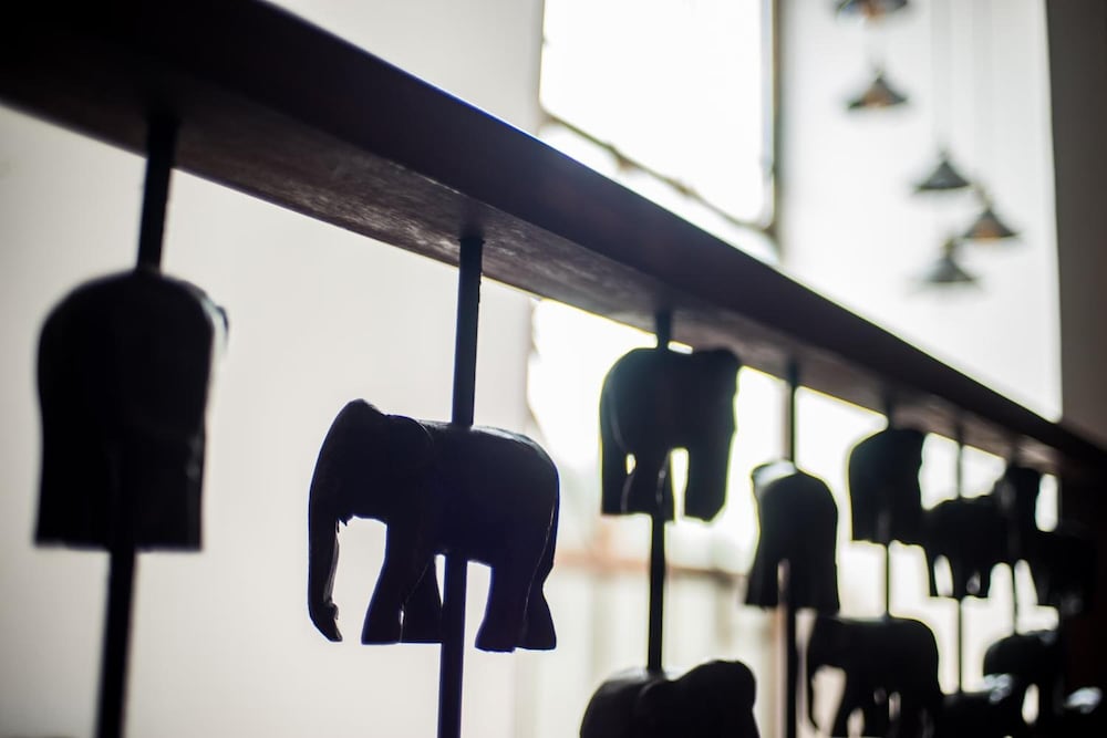 Фото See You Soon Chiangmai