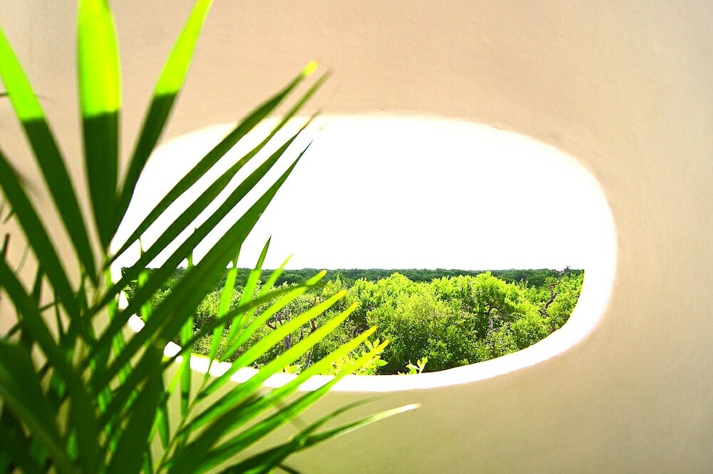 Фото Hotel Villas Flamingos