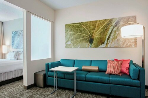 Гостиница SpringHill Suites by Marriott Chicago Schaumburg/Woodfield в Роллинг Мидоус