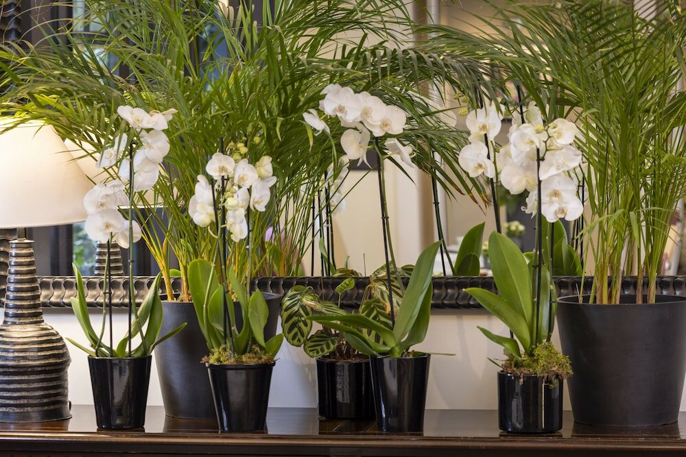 Фото Villa Madame