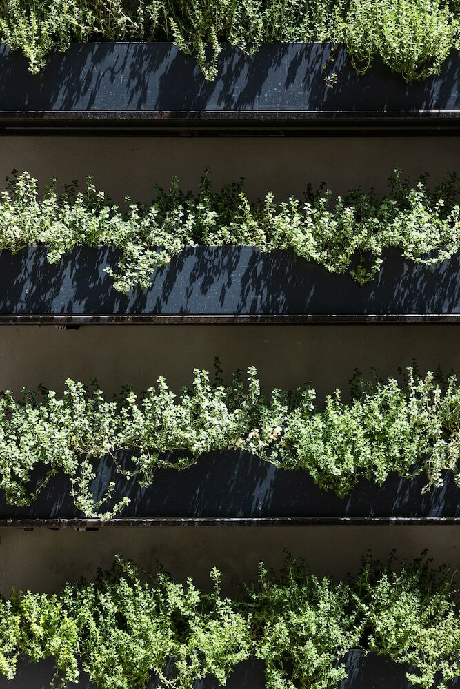 Фото Habitat Luxury Suites Accommodation