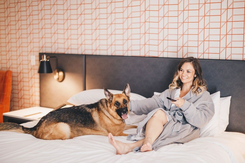 Фото Hyatt Centric Downtown Minneapolis