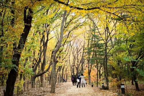 Гостиница Ibis Styles Ambassador Seoul Gangnam в Сеуле