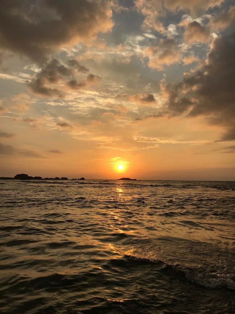 Фото Curry Bowl Restaurant & Turtles Rest