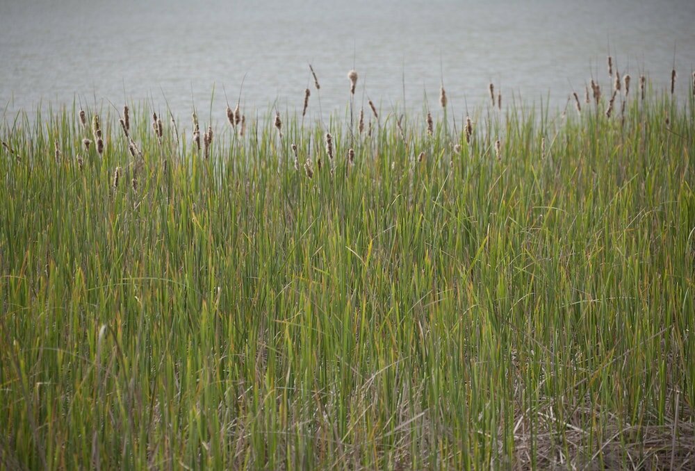 Фото Fattoria Casabianca