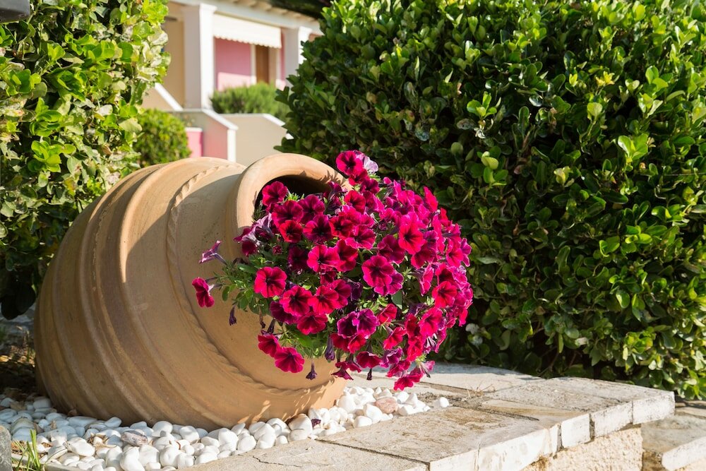 Фото Niki Apartments