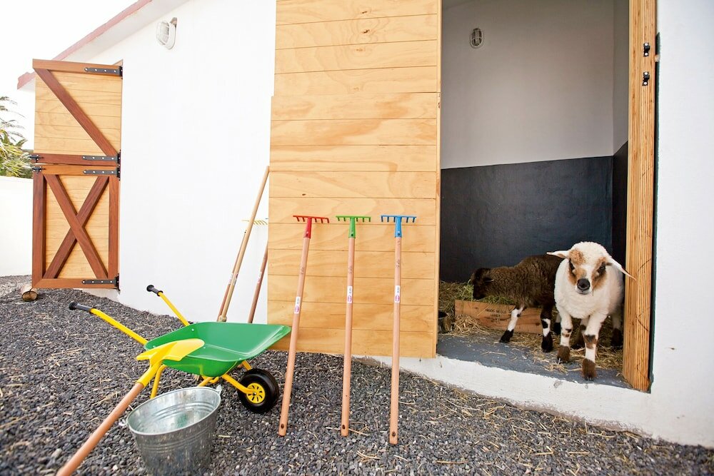 Фото Club Jandía Princess - All Inclusive