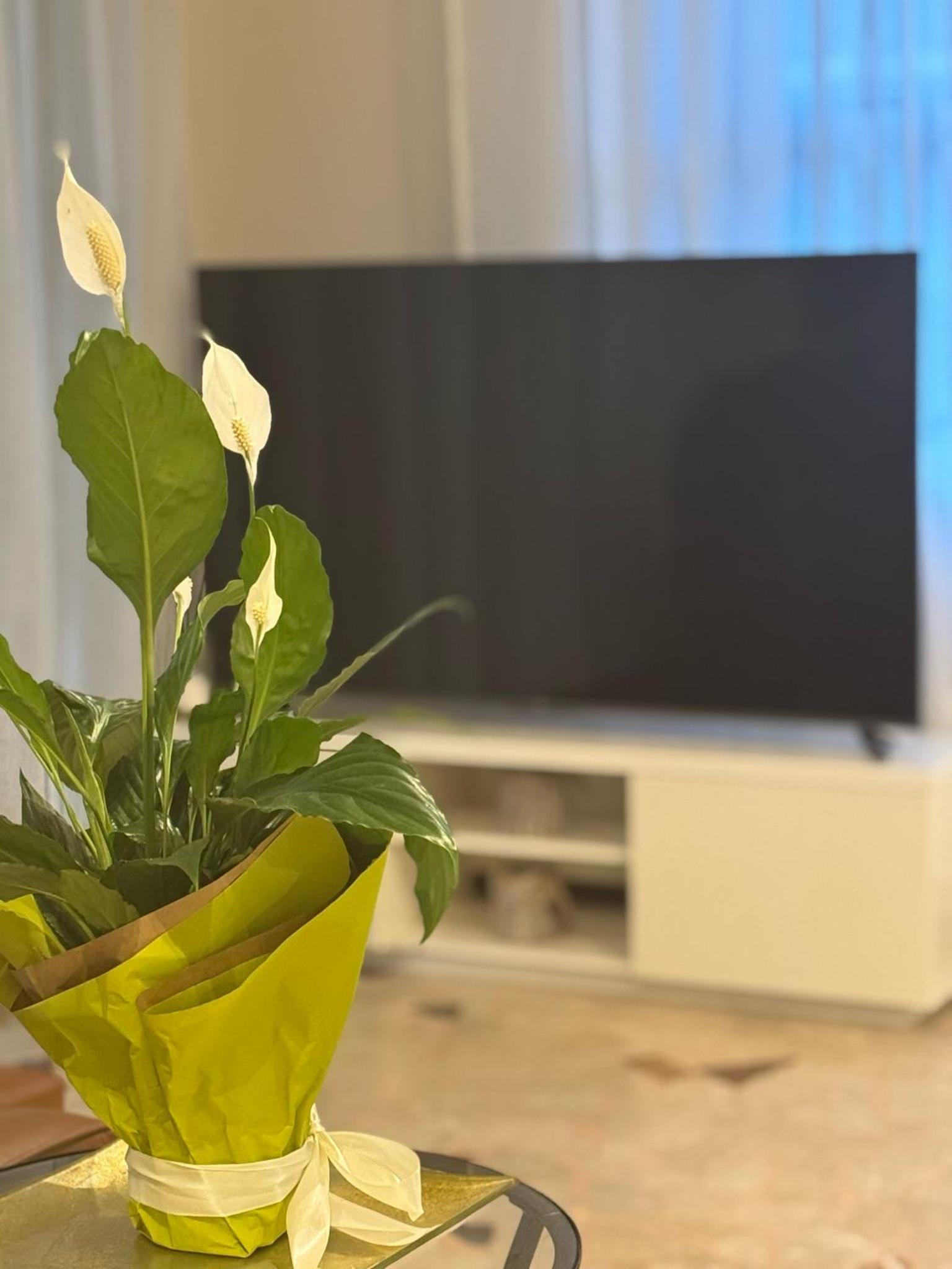 Фото Hotel Eureka