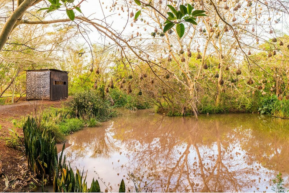 Фото Anew Hotel Hluhluwe