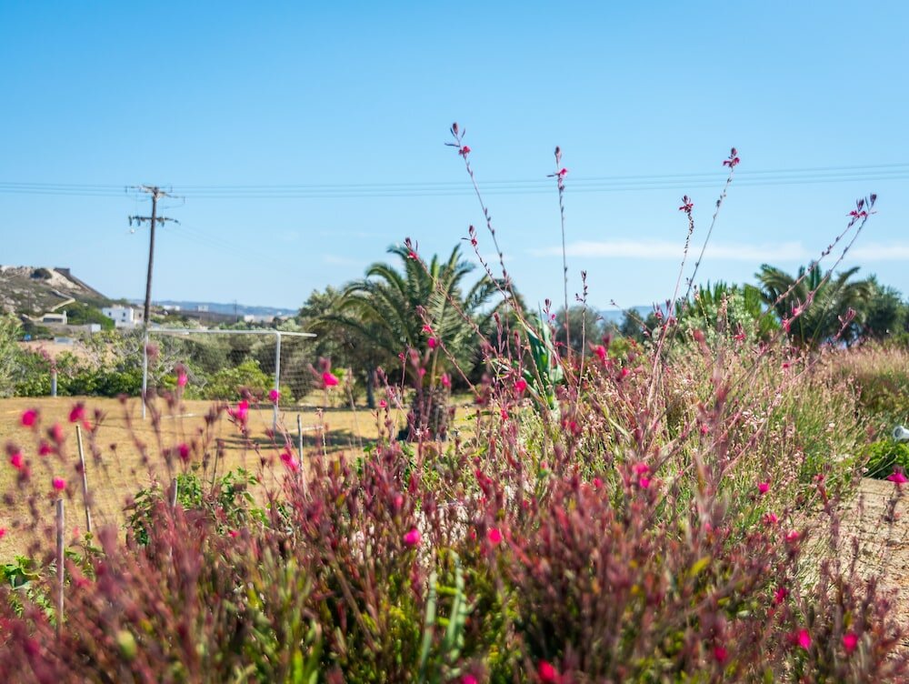 Фото Konstantinos