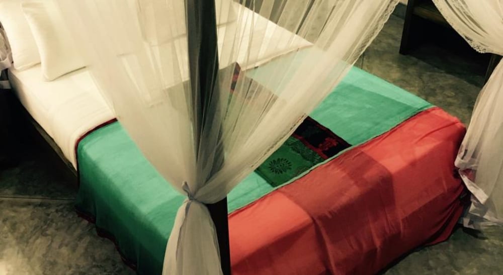 Фото Parawa House