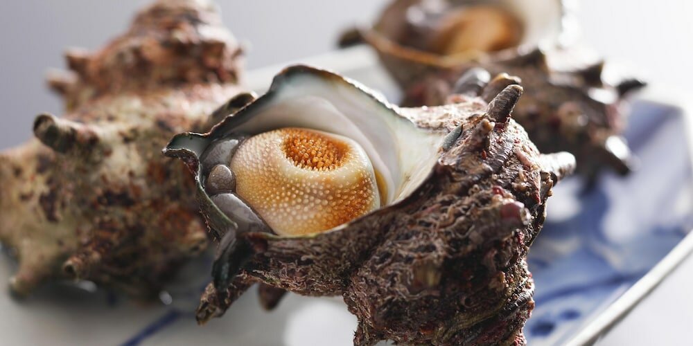 Фото Seikiro Ryokan Historical Museum Hotel