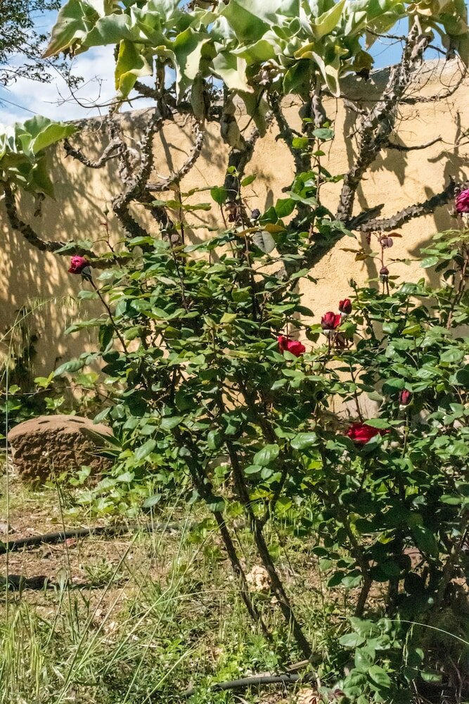 Фото Torre Tabia