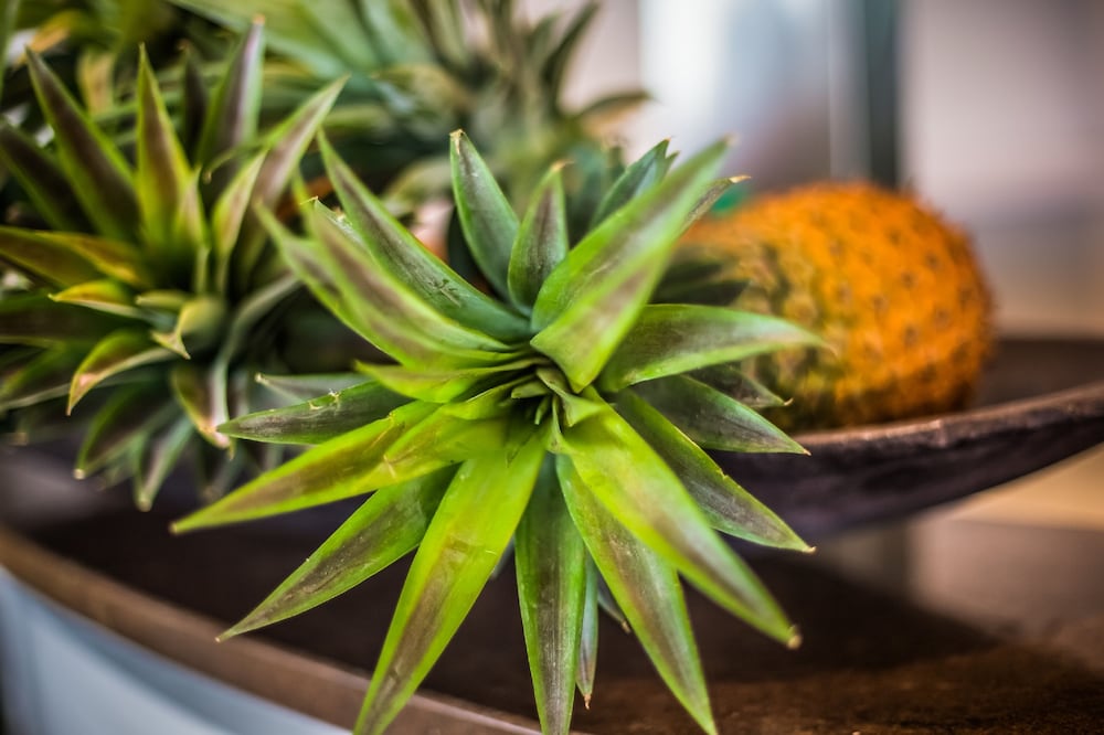 Фото Tamanu on the Beach