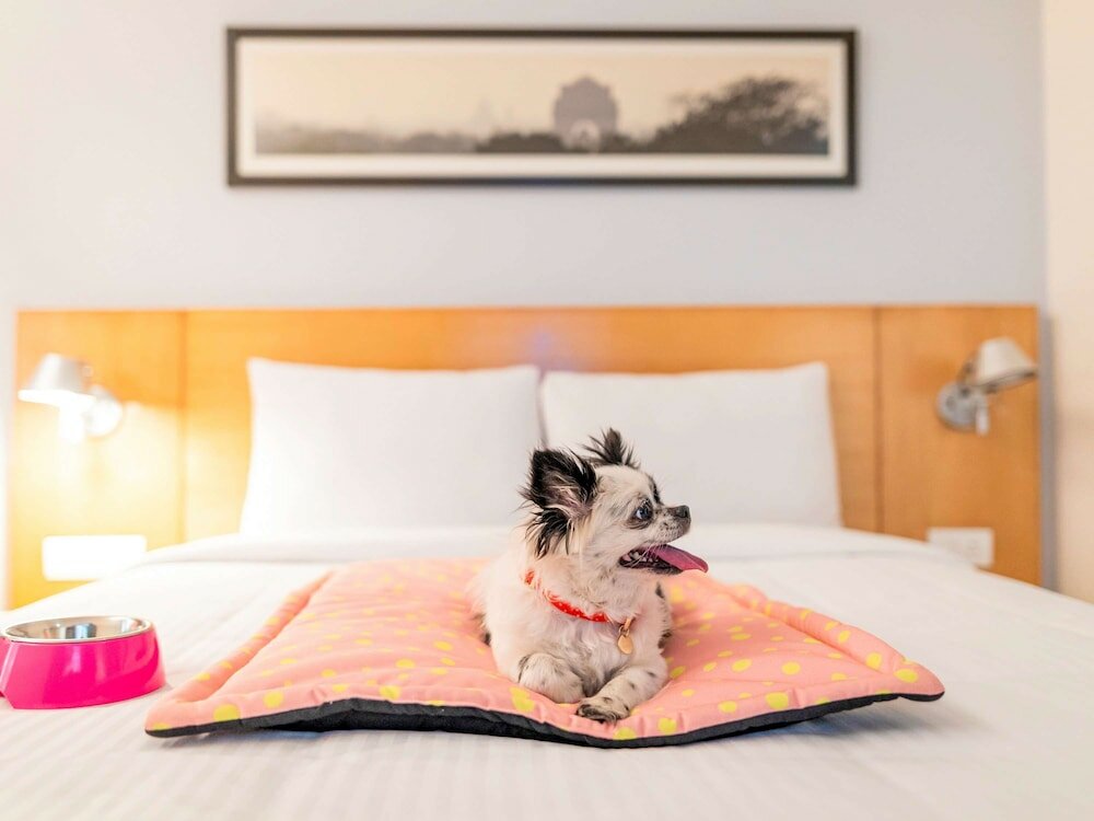 Фото Ibis Bengaluru City Centre