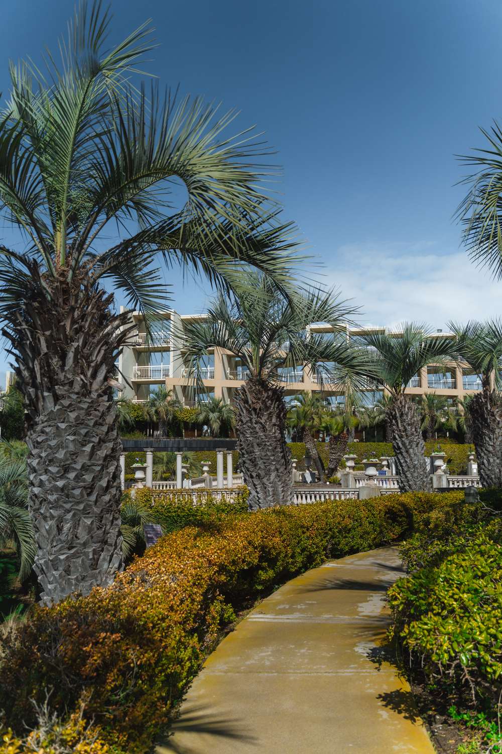 Фото Hilton La Jolla Torrey Pines