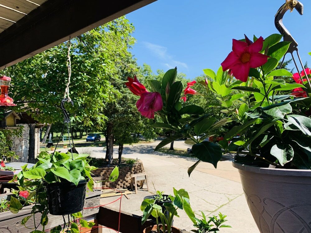 Фото WangShi China Palace B&b